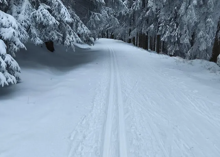 Homestay Rosenberg Marianske Lazne