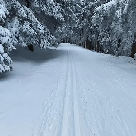 Alloggio in famiglia Rosenberg Mariánské Lázně